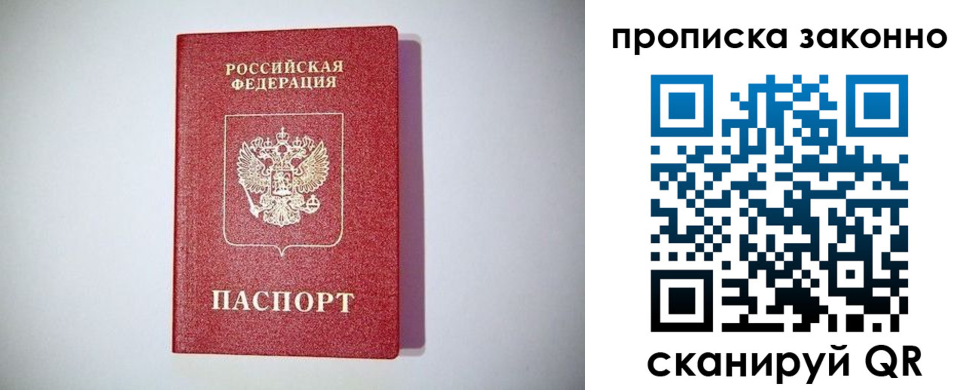 прописка для школы в Ярославской области